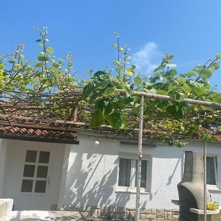 Ferienwohnung Apartman Nela Poreč Exterior foto